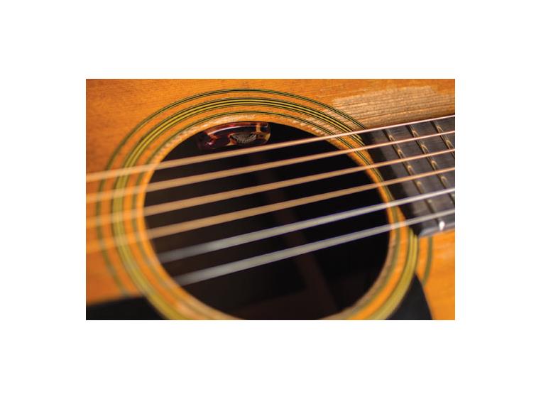 L.R.Baggs Lyric Acoustic Guitar Microphone